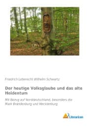 Cover von Der heutige Volksglaube und das alte Heidentum