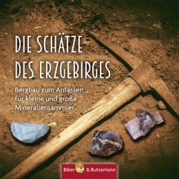 Cover von Die Schätze des Erzgebirges