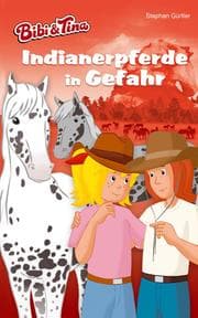 Cover von Bibi & Tina - Indianerpferde in Gefahr