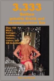 Cover von 3.333 Seiten geballte Erotik und hemmungsloser Sex