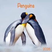 Cover von Penguins 2026