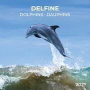 Cover von Delfine/Dolphins 2027