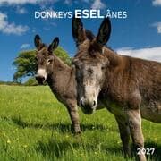 Cover von Esel/Donkeys 2027