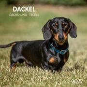 Cover von Dackel/Dachshund 2027