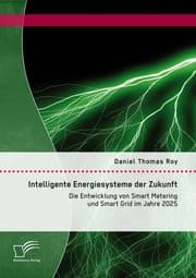 Cover von Intelligente Energiesysteme der Zukunft: Die Entwicklung von Smart Metering und Smart Grid im Jahre 2025