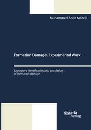 Cover von Formation Damage. Experimental Work. Laboratory Identification and calculation of Formation damage