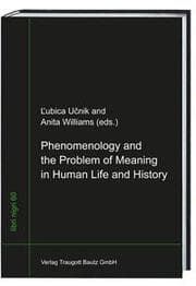 Cover von Phenomenology and the Problem of Meaning in Human Life and History