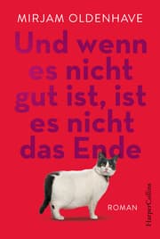 Cover von Und wenn es nicht gut ist, ist es nicht das Ende