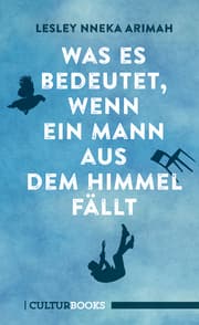 Cover von Was es bedeutet, wenn ein Mann aus dem Himmel fällt