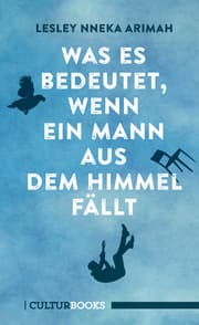 Cover von Was es bedeutet, wenn ein Mann aus dem Himmel fällt