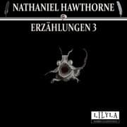 Cover von Erzählungen 3