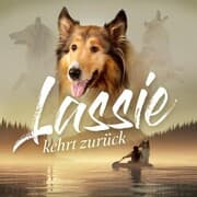Cover von Lassie kehrt zurück