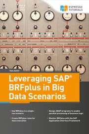 Cover von Leveraging SAP BRFplus in Big Data Scenarios