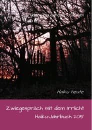 Cover von Zwiegespräch mit dem Irrlicht