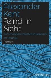 Cover von Feind in Sicht
