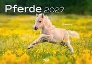 Cover von Pferde 2027