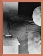 Cover von Loredana Nemes, Immergrün
