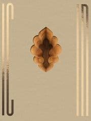 Cover von Ljubodrag Andric - India
