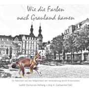 Cover von Wie die Farben nach Grauland kamen