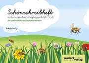 Cover von Schönschreibheft in VA (mit alternativen Buchstabenformen)