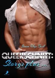 Cover von Queerschnitt: Storys plus ...