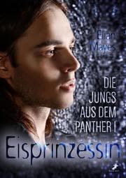 Cover von Die Jungs aus dem Panther