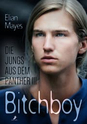 Cover von Die Jungs aus dem Panther - Bitchboy