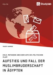 Cover von Aufstieg und Fall der Muslimbruderschaft in Ägypten. Ziele, Methoden und Konflikte des politischen Islam
