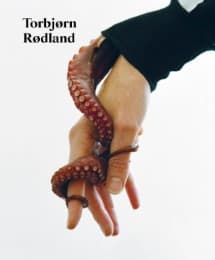 Cover von Torbjørn Rødland. The Touch That Made You