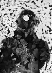 Cover von Jochen Lempert. Relación