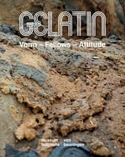 Cover von Gelatin. Vorm - Fellows - Attitude