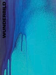 Cover von Katharina Grosse. Wunderbild