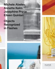 Cover von Objects Recognized in Flashes