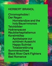 Cover von Herbert Brandl. Exposed to Painting. Die letzten 20 Jahre / The past 20 years
