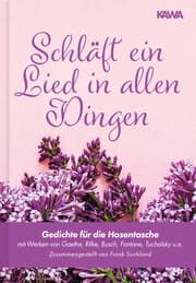 Cover von Schläft ein Lied in allen Dingen