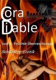 Cover von Lust 5 - Feuchte Überraschungen