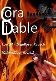 Cover von Lust 14 - Zügelloser Rausch