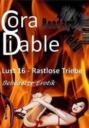 Cover von Lust 16 - Rastlose Triebe