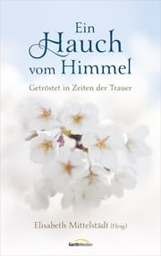 Cover von Ein Hauch vom Himmel