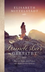 Cover von Wunderbar geleitet