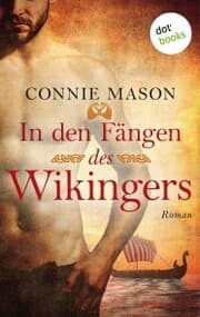 Cover von In den Fängen des Wikingers