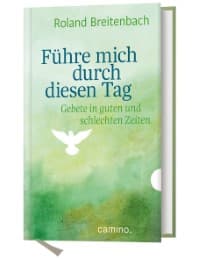 Cover von Führe mich durch diesen Tag