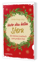 Cover von Unter dem hellen Stern
