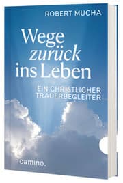 Cover von Wege zurück ins Leben