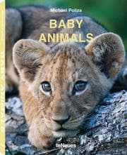 Cover von Baby Animals