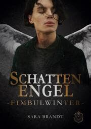 Cover von Schattenengel