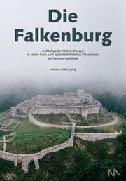 Cover von Die Falkenburg