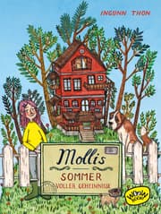 Cover von Mollis Sommer voller Geheimnisse