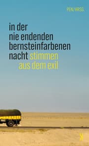 Cover von In der nie endenden bernsteinfarbenen Nacht