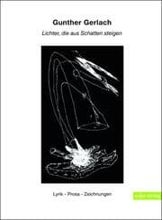 Cover von Lichter, die aus Schatten steigen